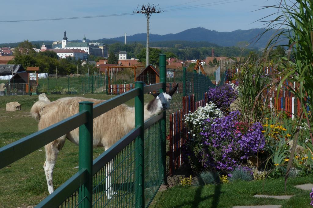 Farma Wenet Villa Broumov Exterior photo